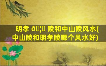 明孝 🦈 陵和中山陵风水(中山陵和明孝陵哪个风水好)